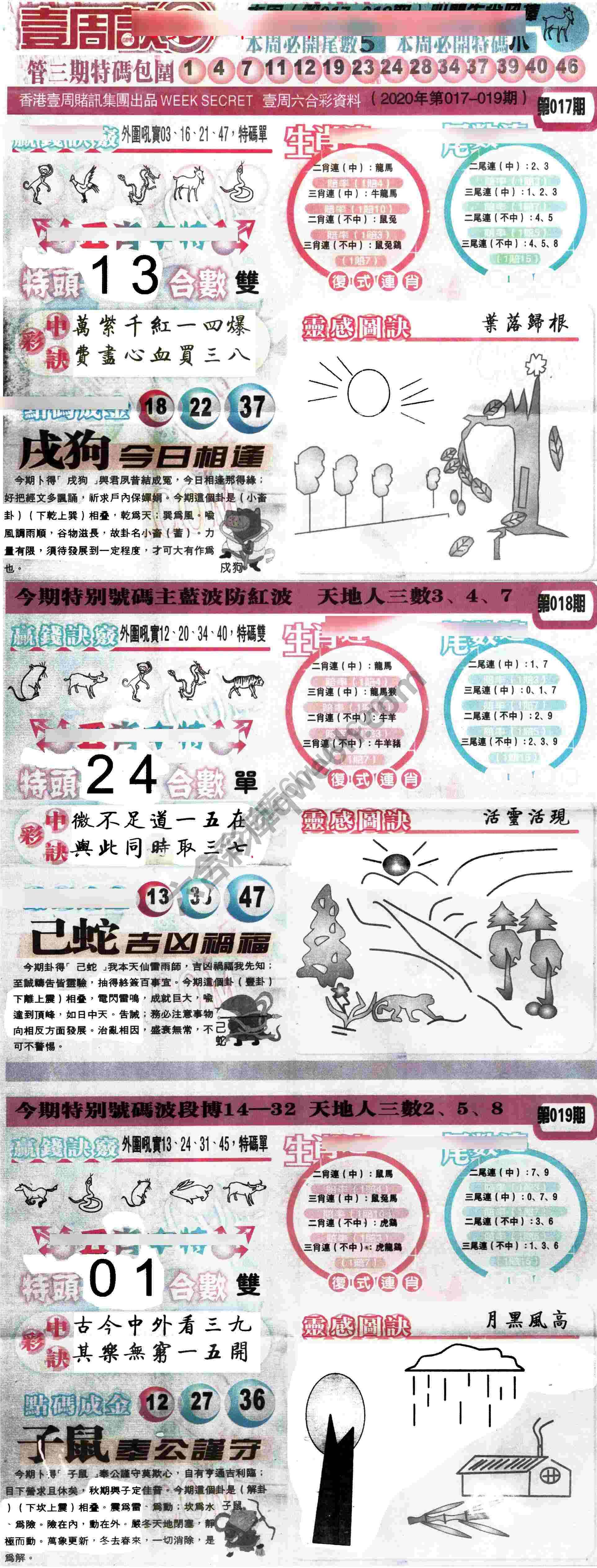 一周决
