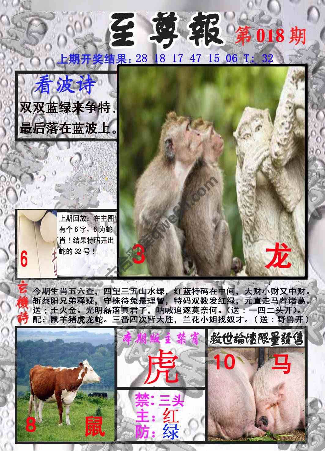 至尊报