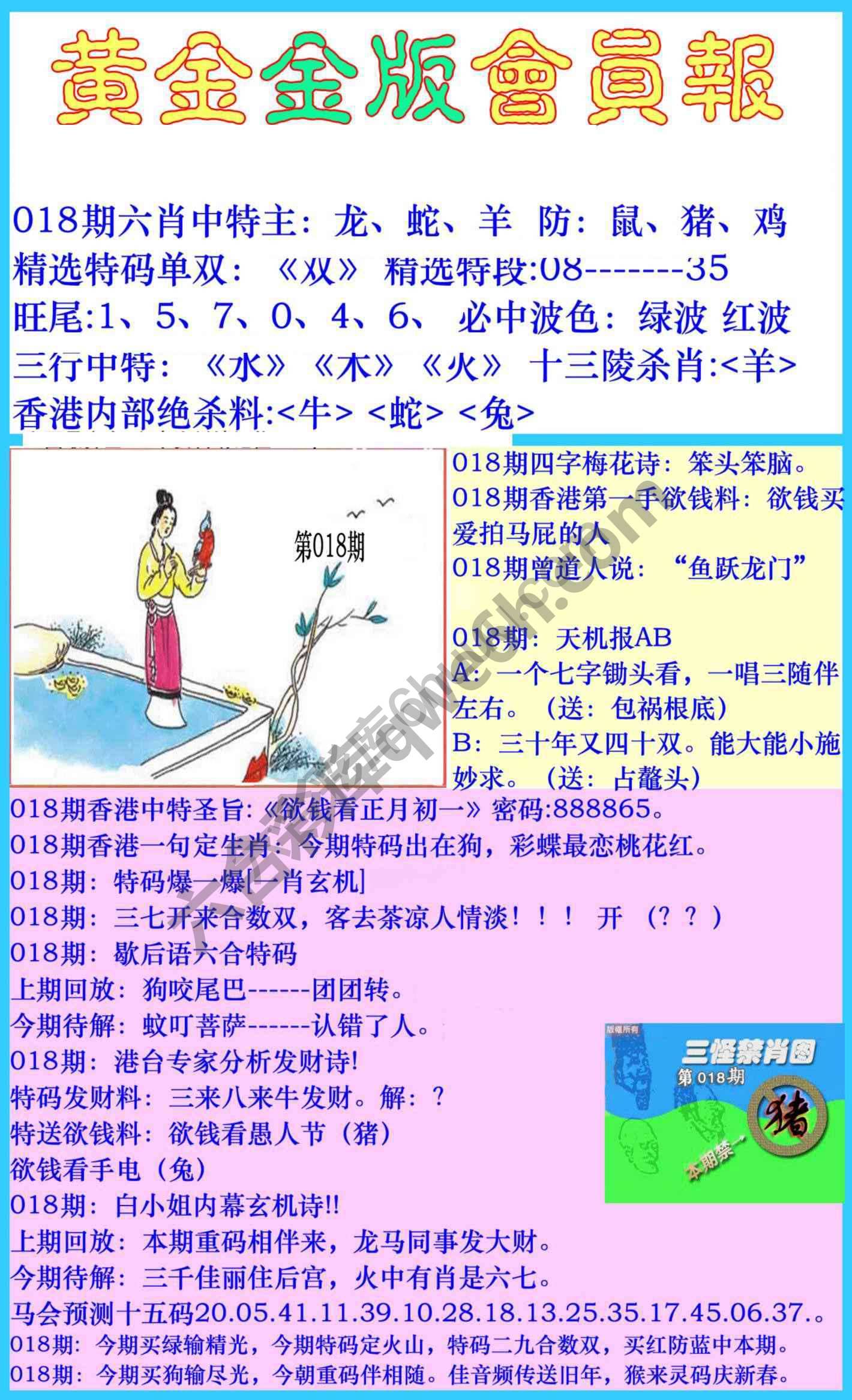 黄金金版会员报