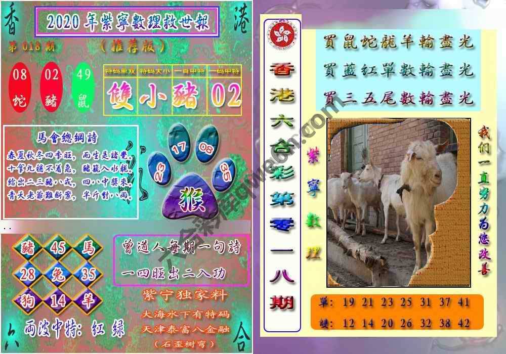 数理救世报