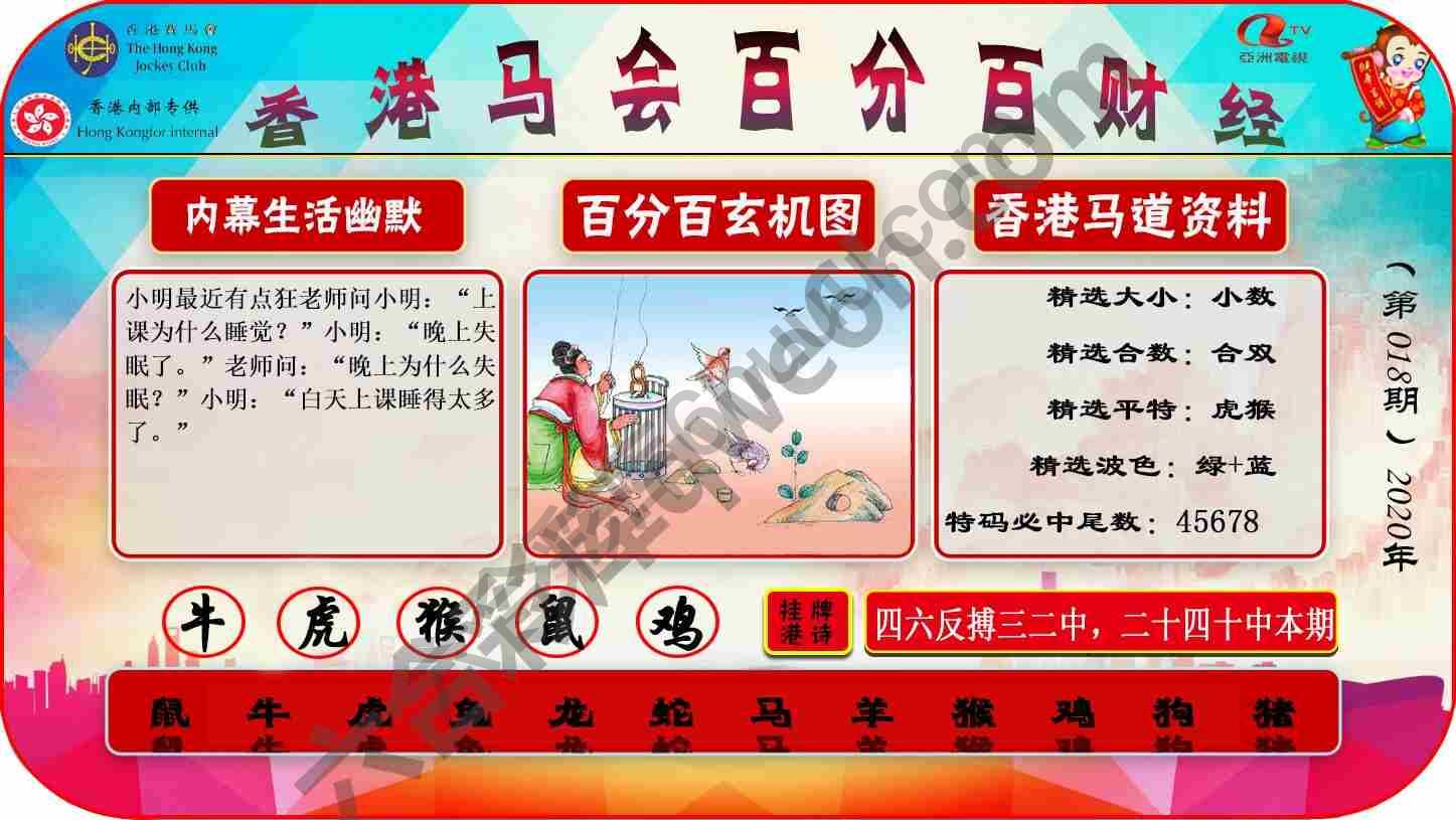 百分百财经