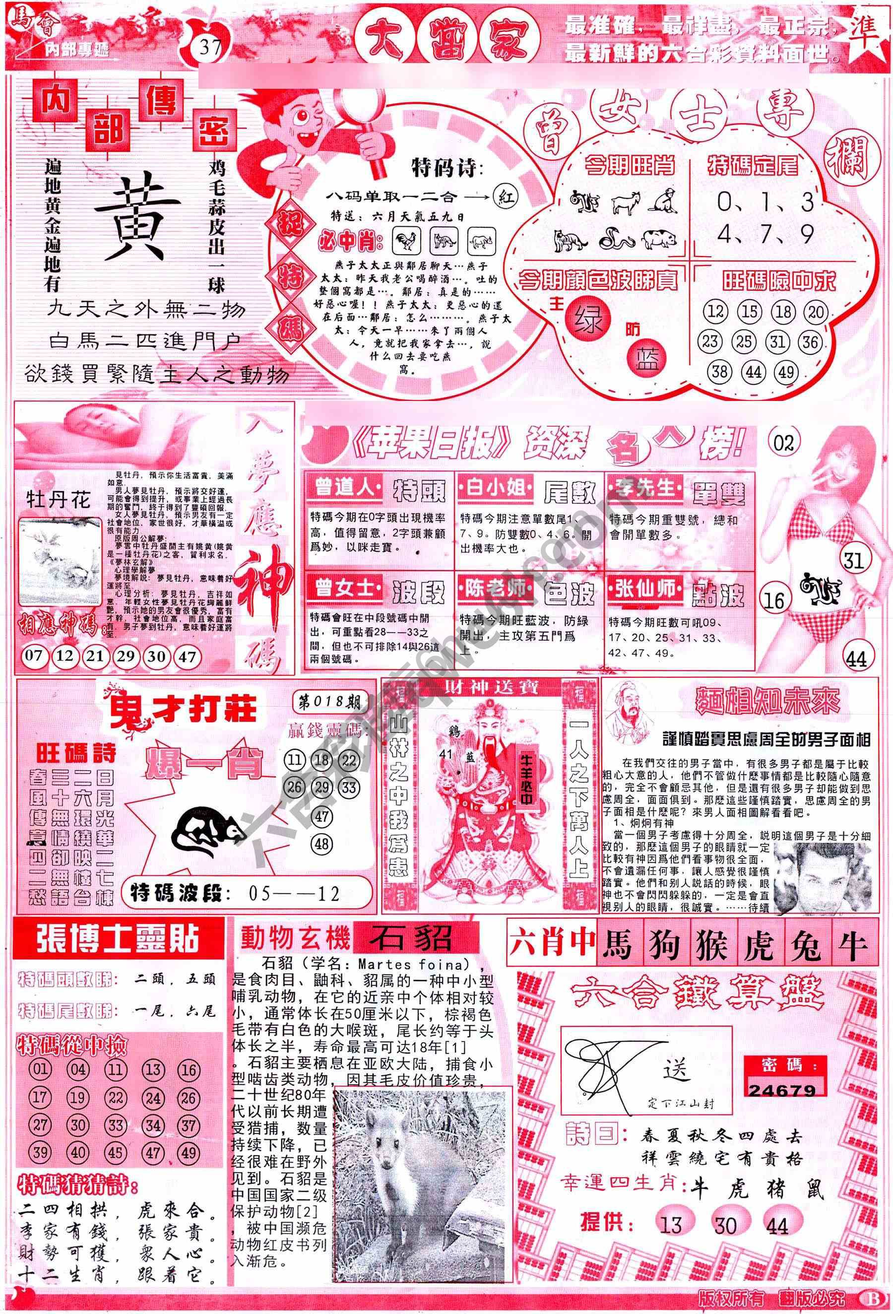 大当家