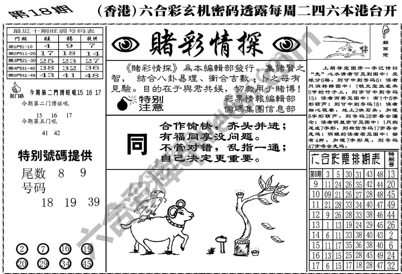 赌彩情探