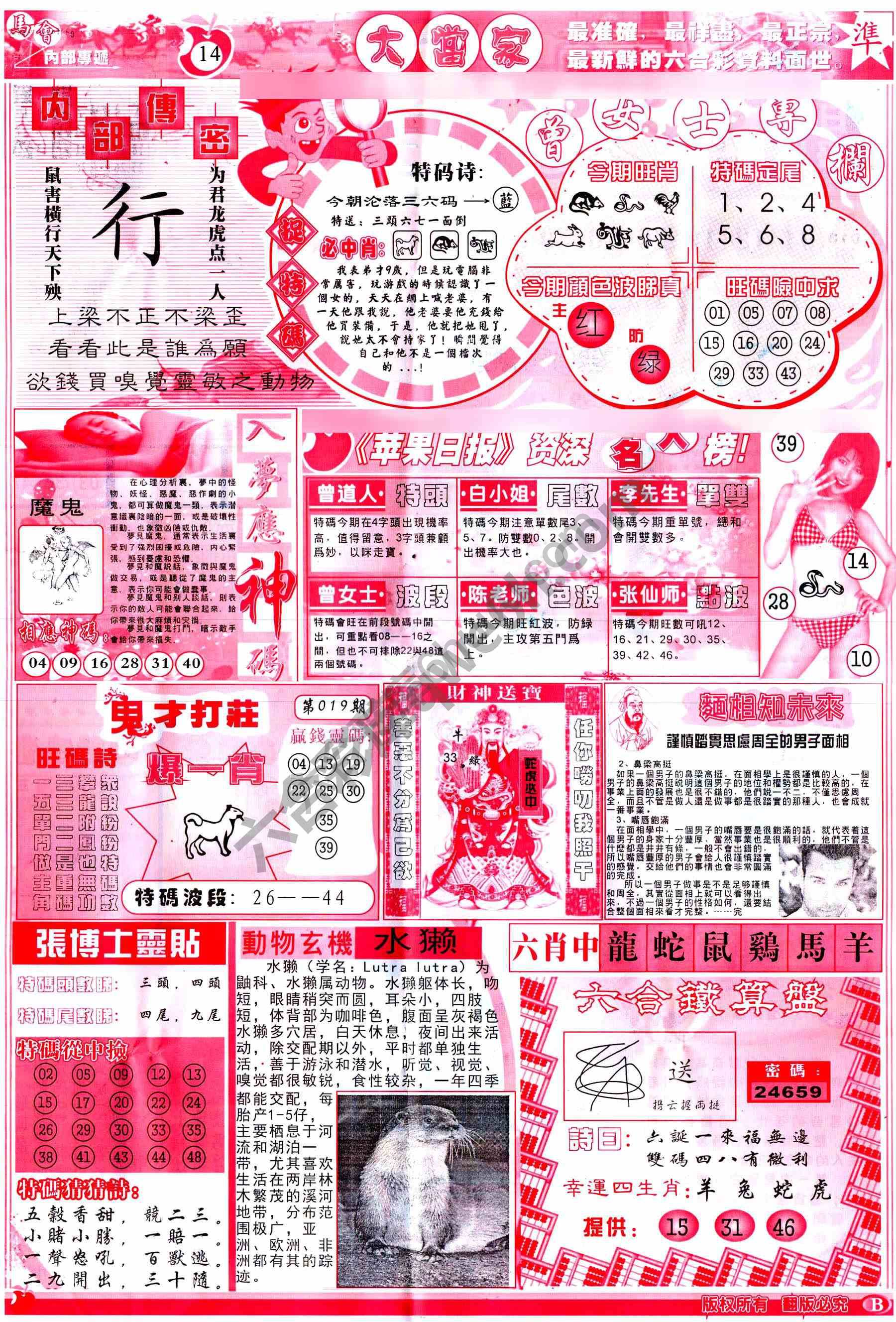 大当家