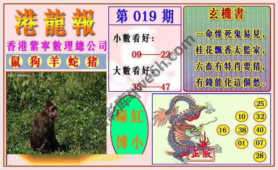 港龙报