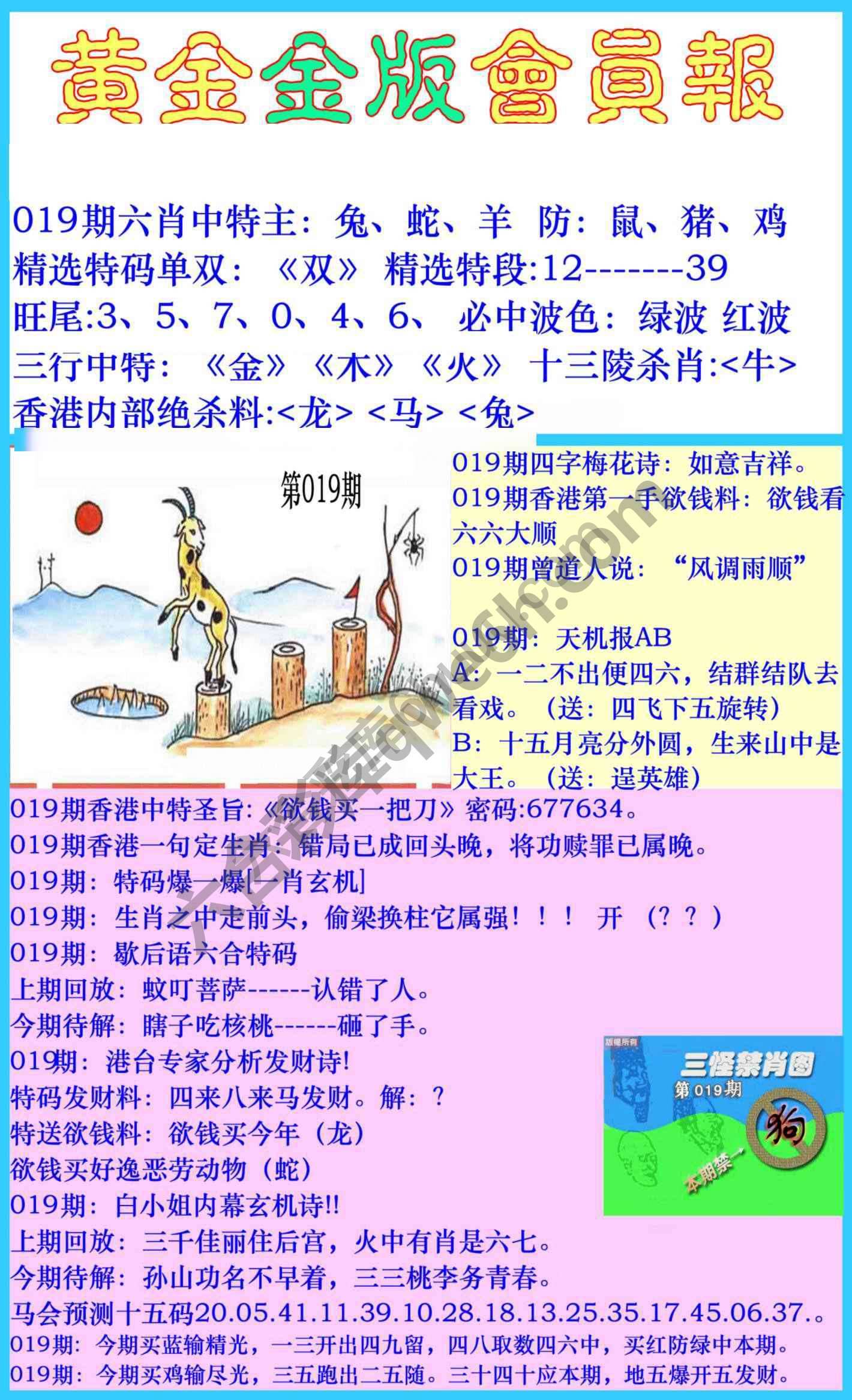 黄金金版会员报