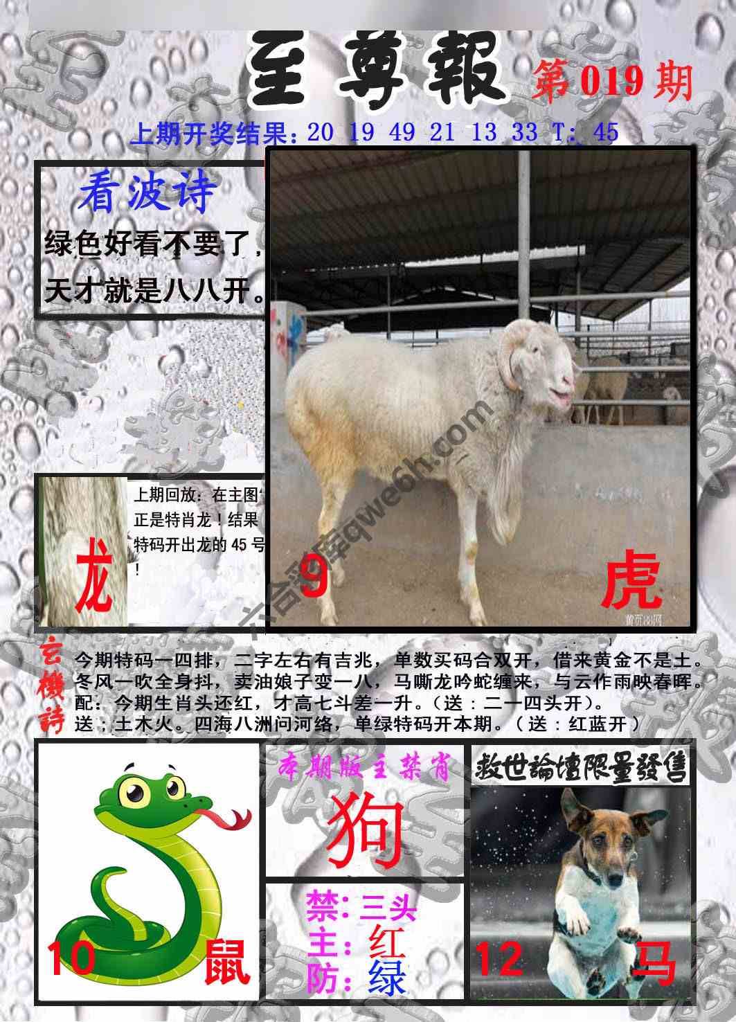 至尊报