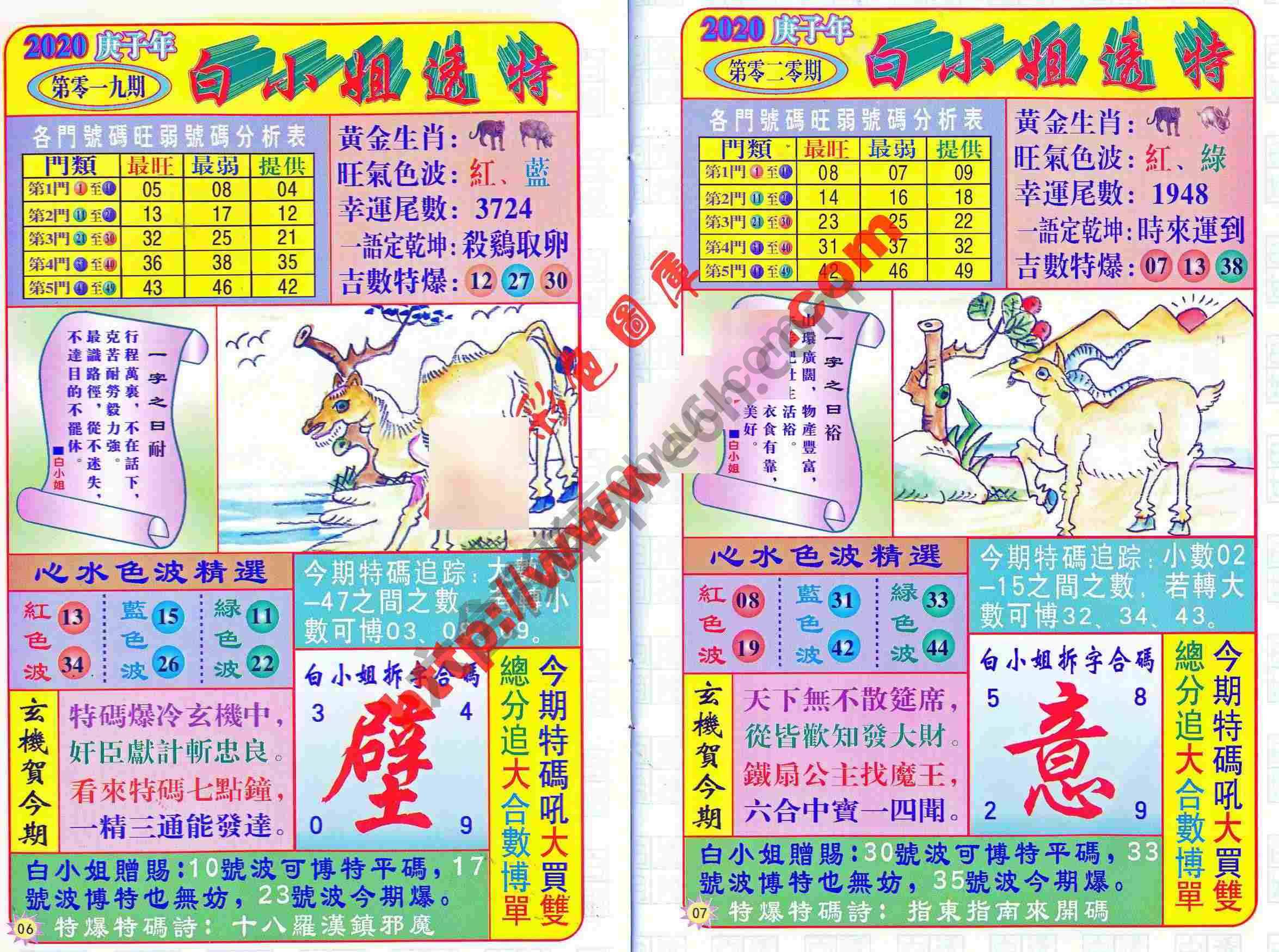 白小姐透特