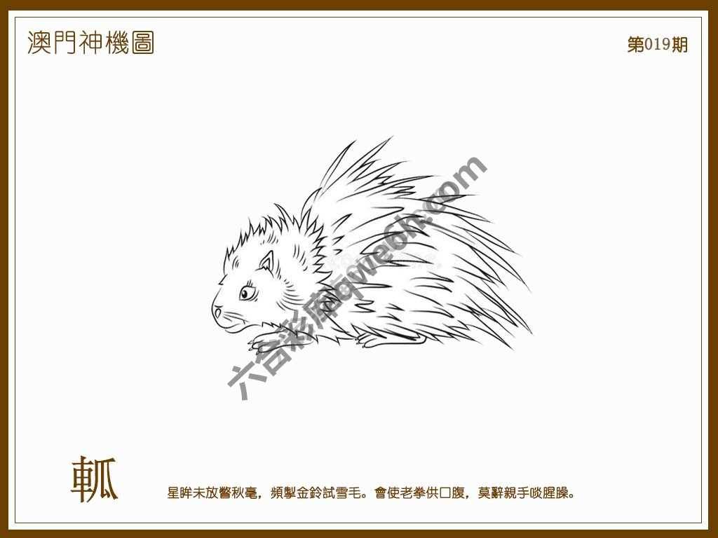 澳门神机图