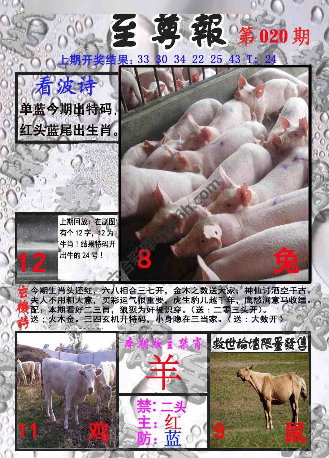 至尊报