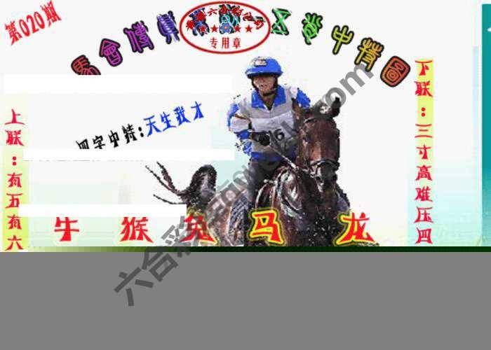 马会传真五肖料