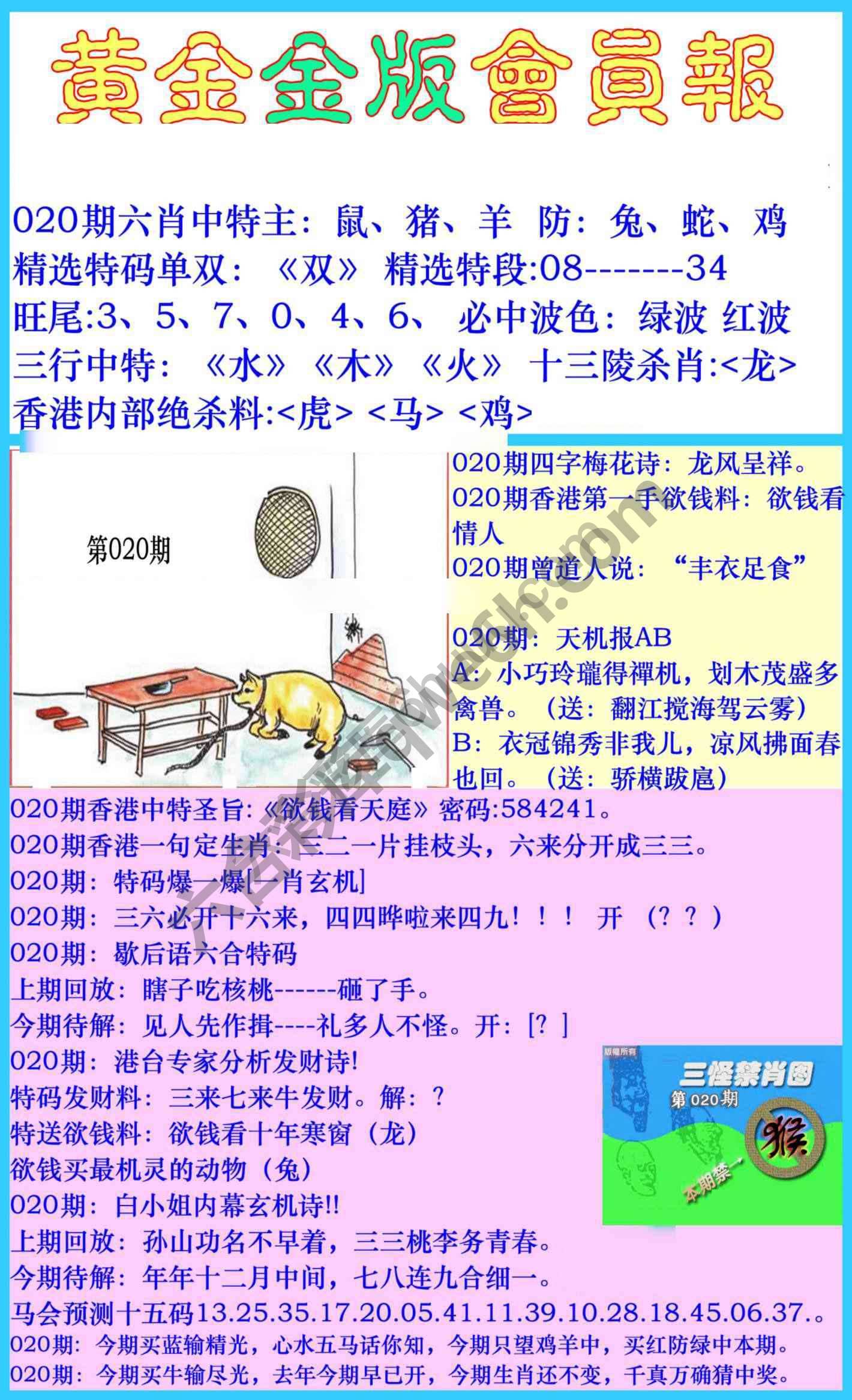 黄金金版会员报