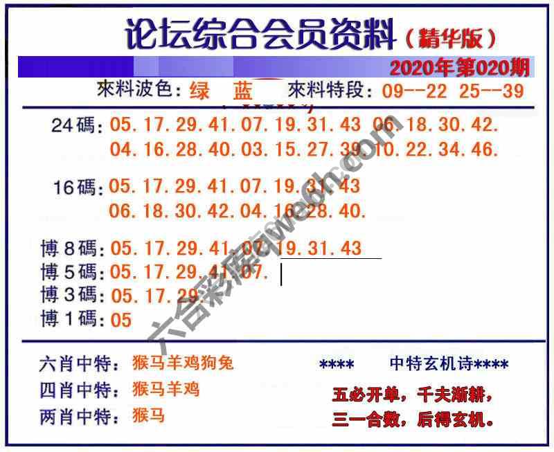 综合会员资料