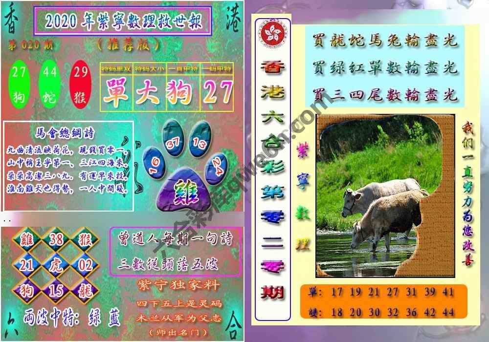 数理救世报
