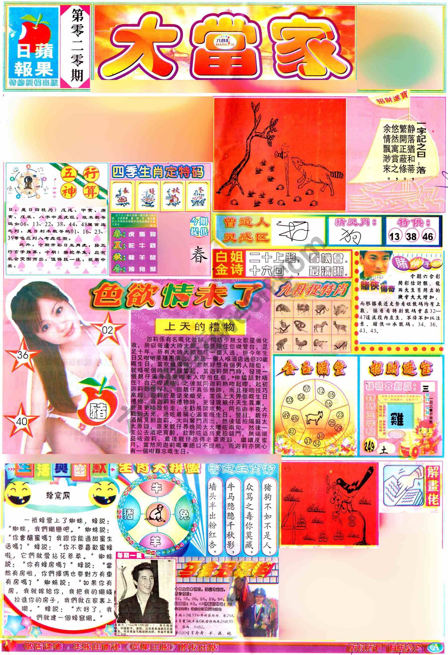 大当家