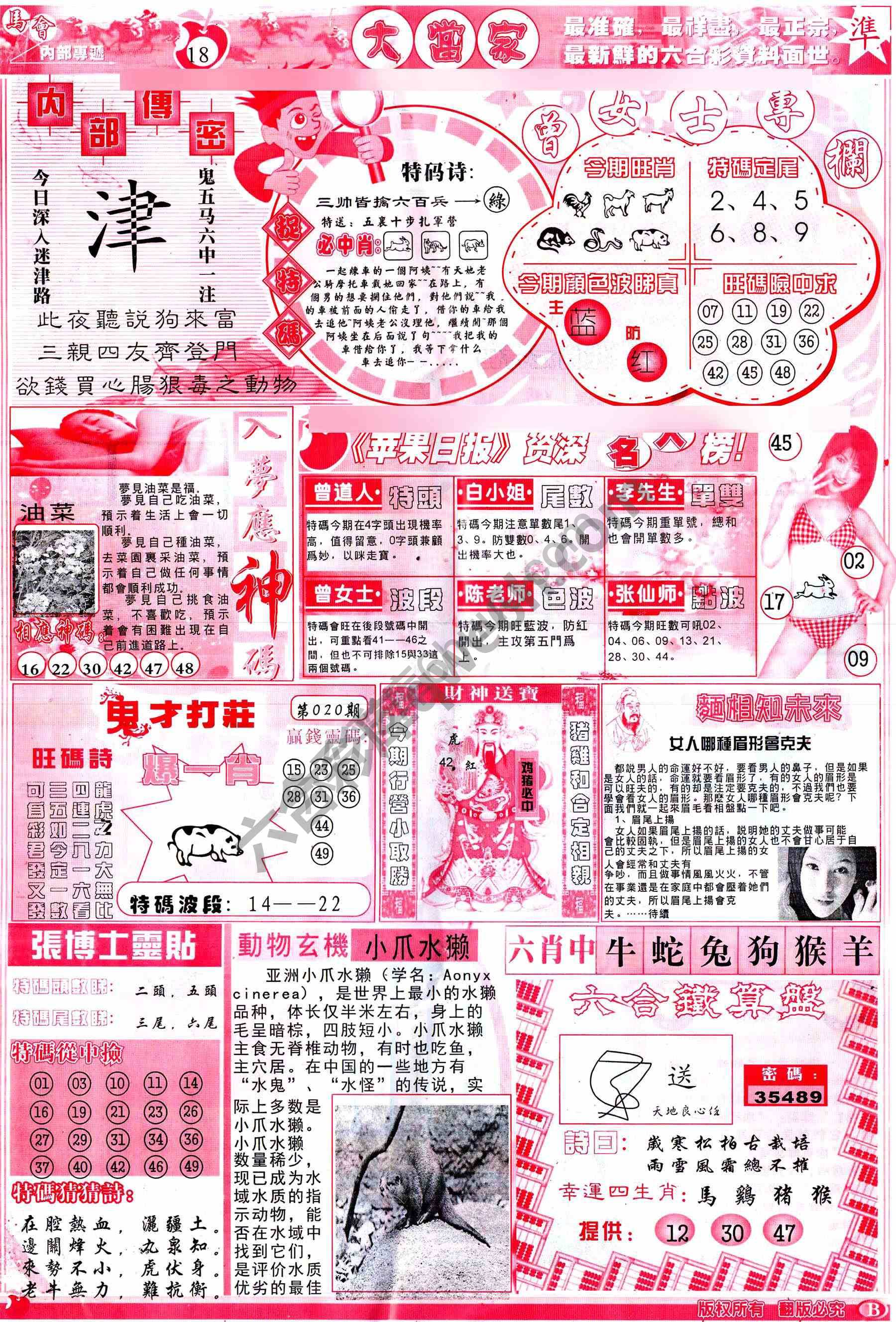 大当家