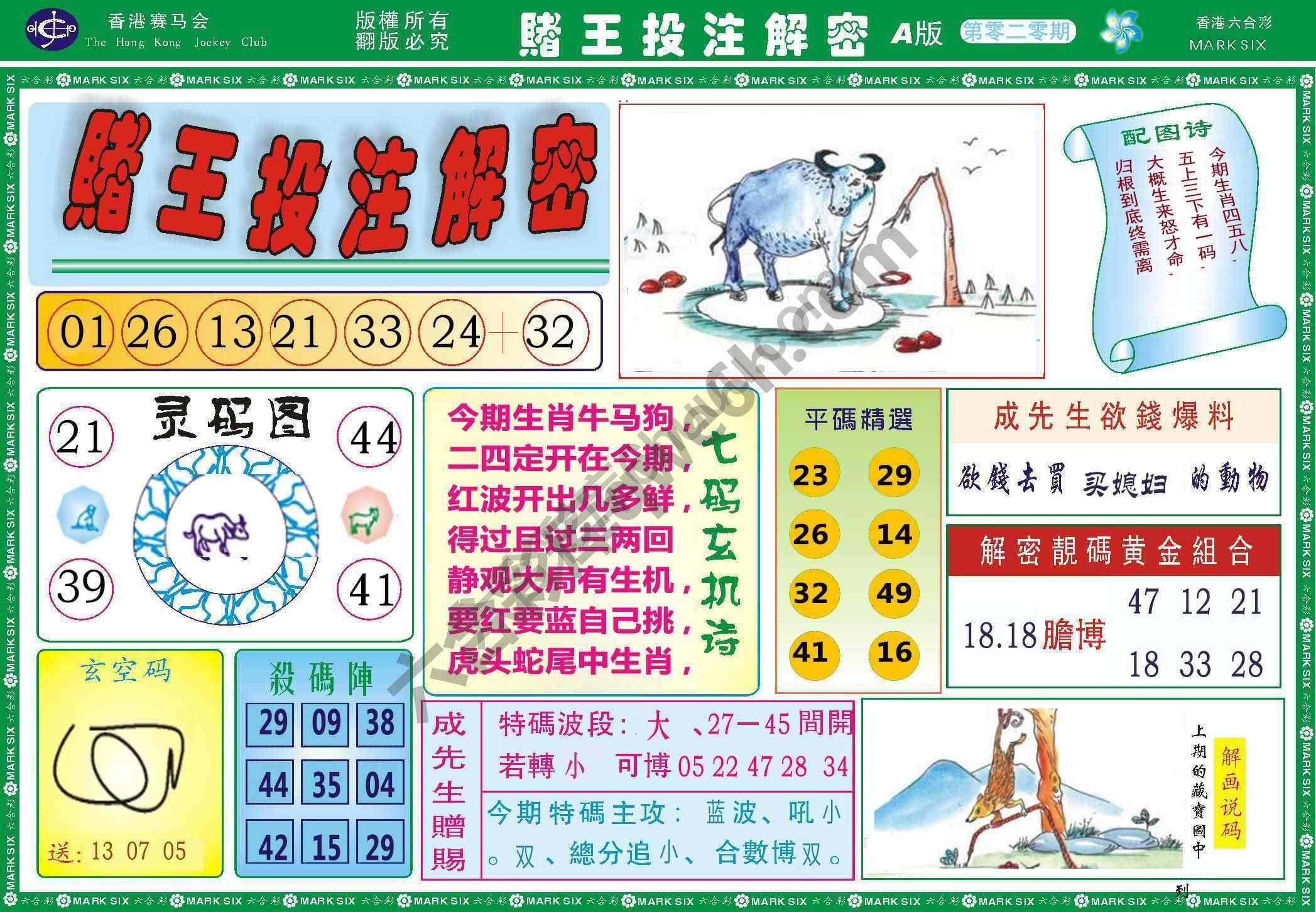 赌王投注解密