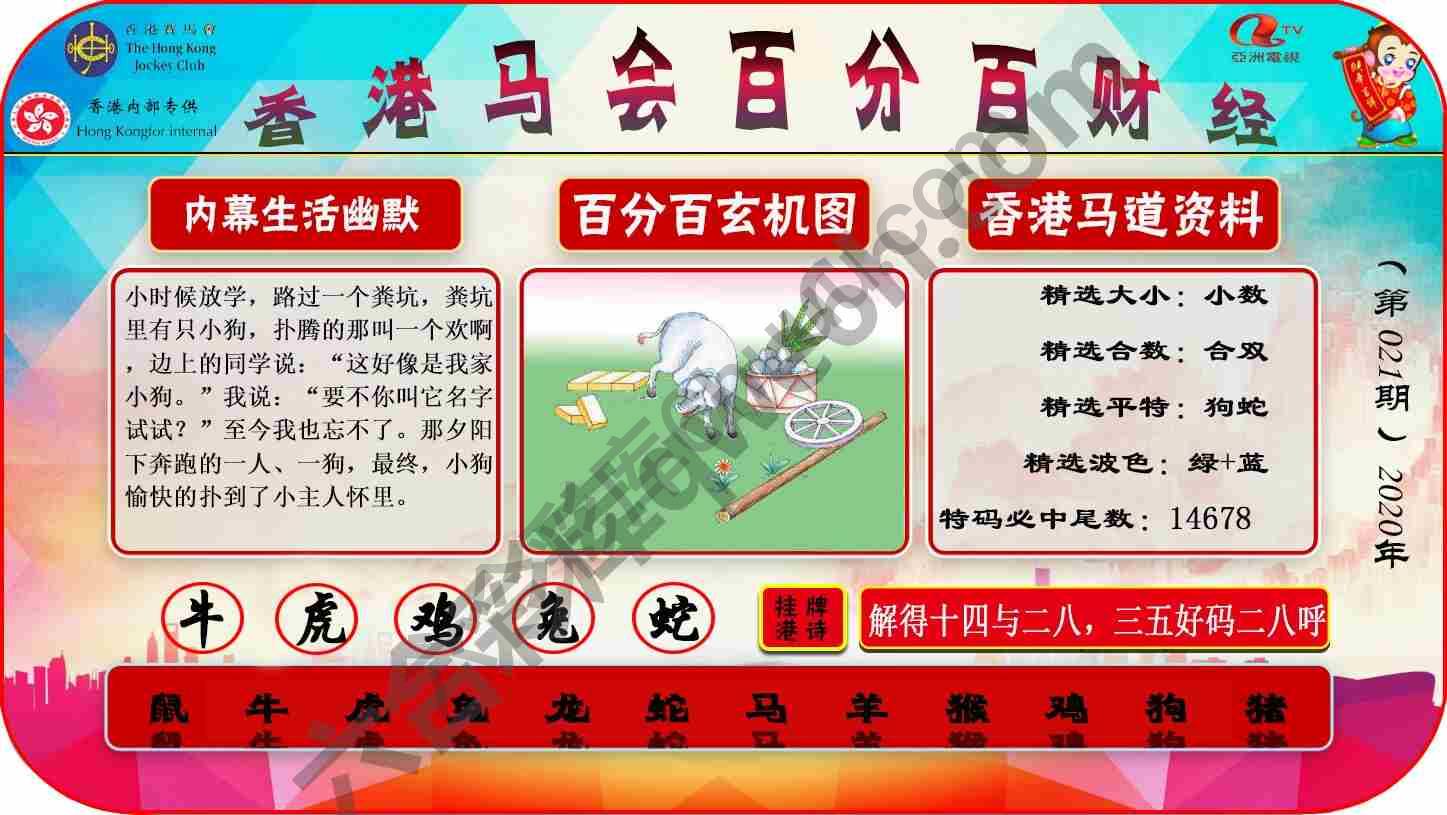 百分百财经