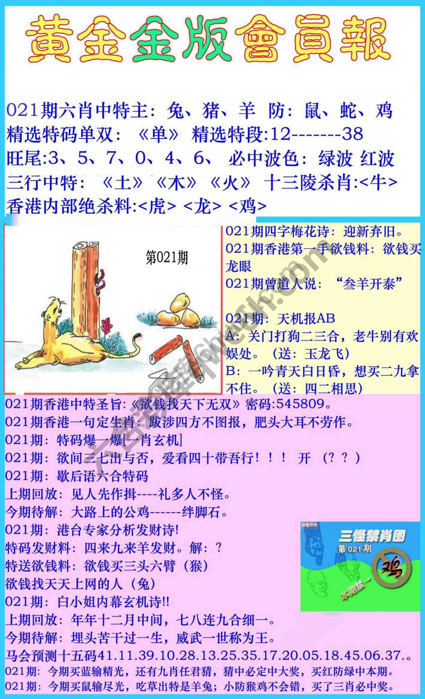 黄金金版会员报
