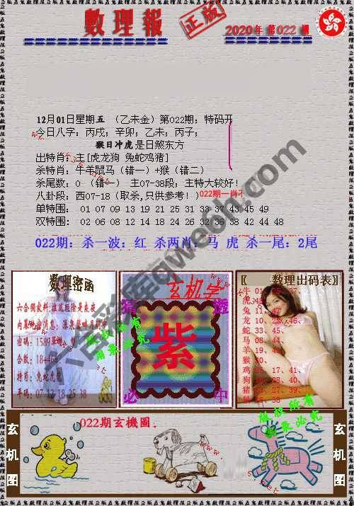 数理报