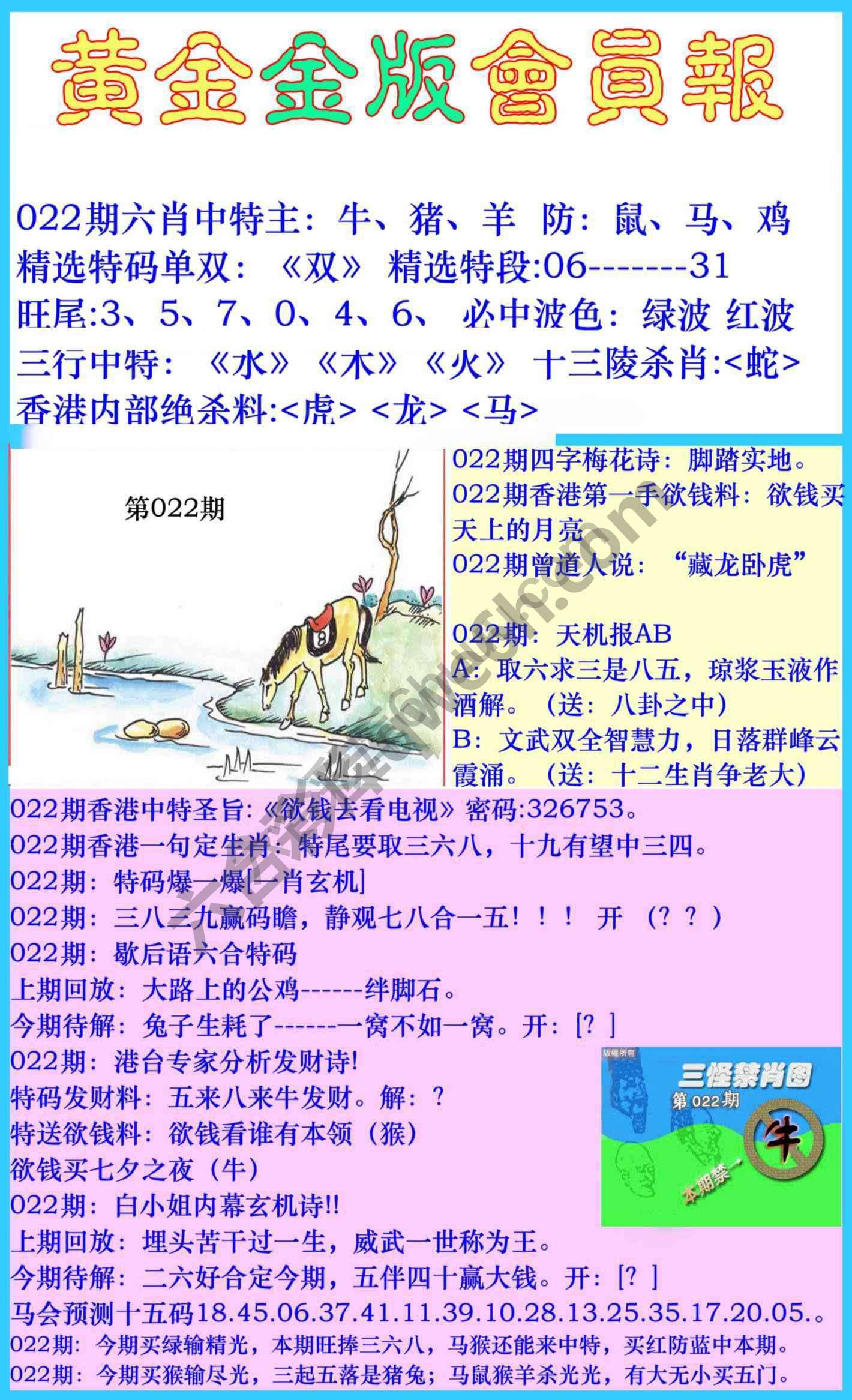 黄金金版会员报