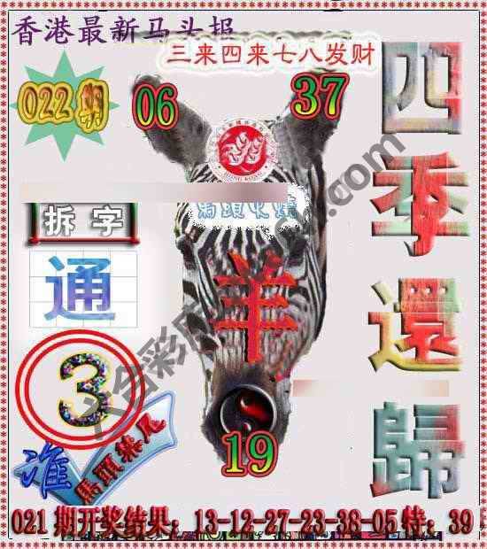香港马头报