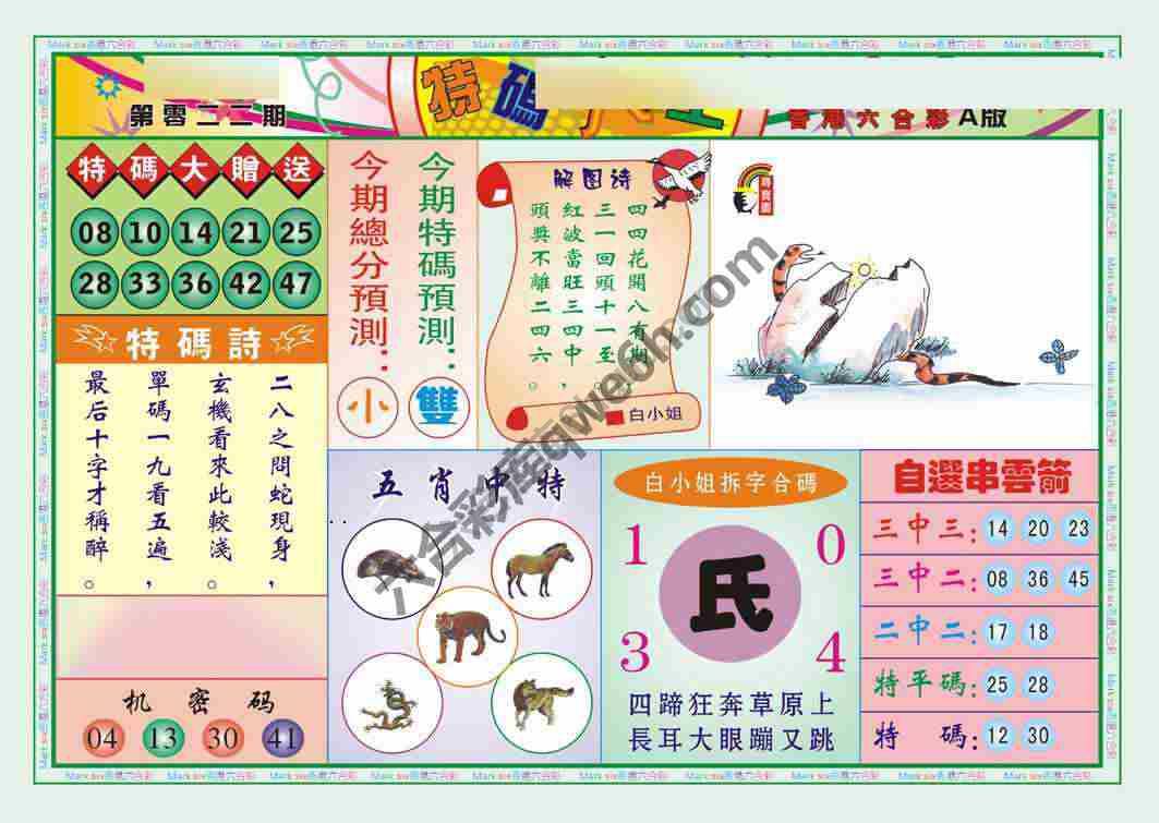 特码大王
