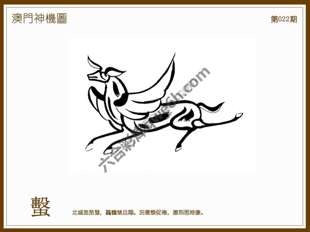 澳门神机图
