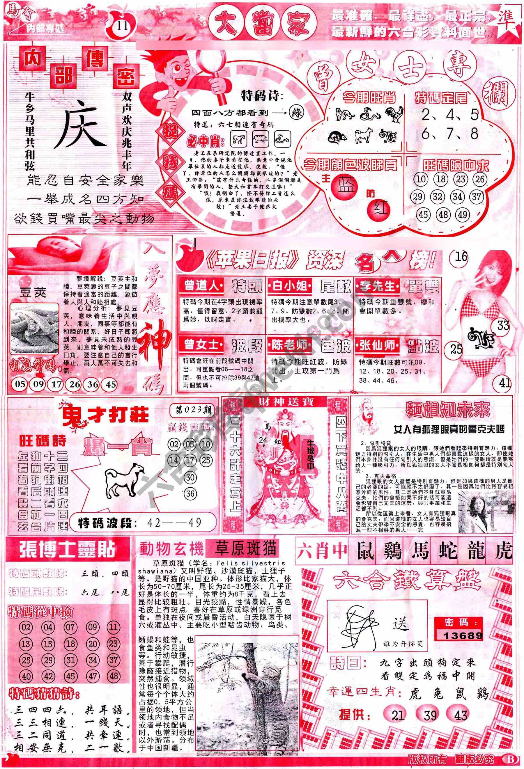 大当家
