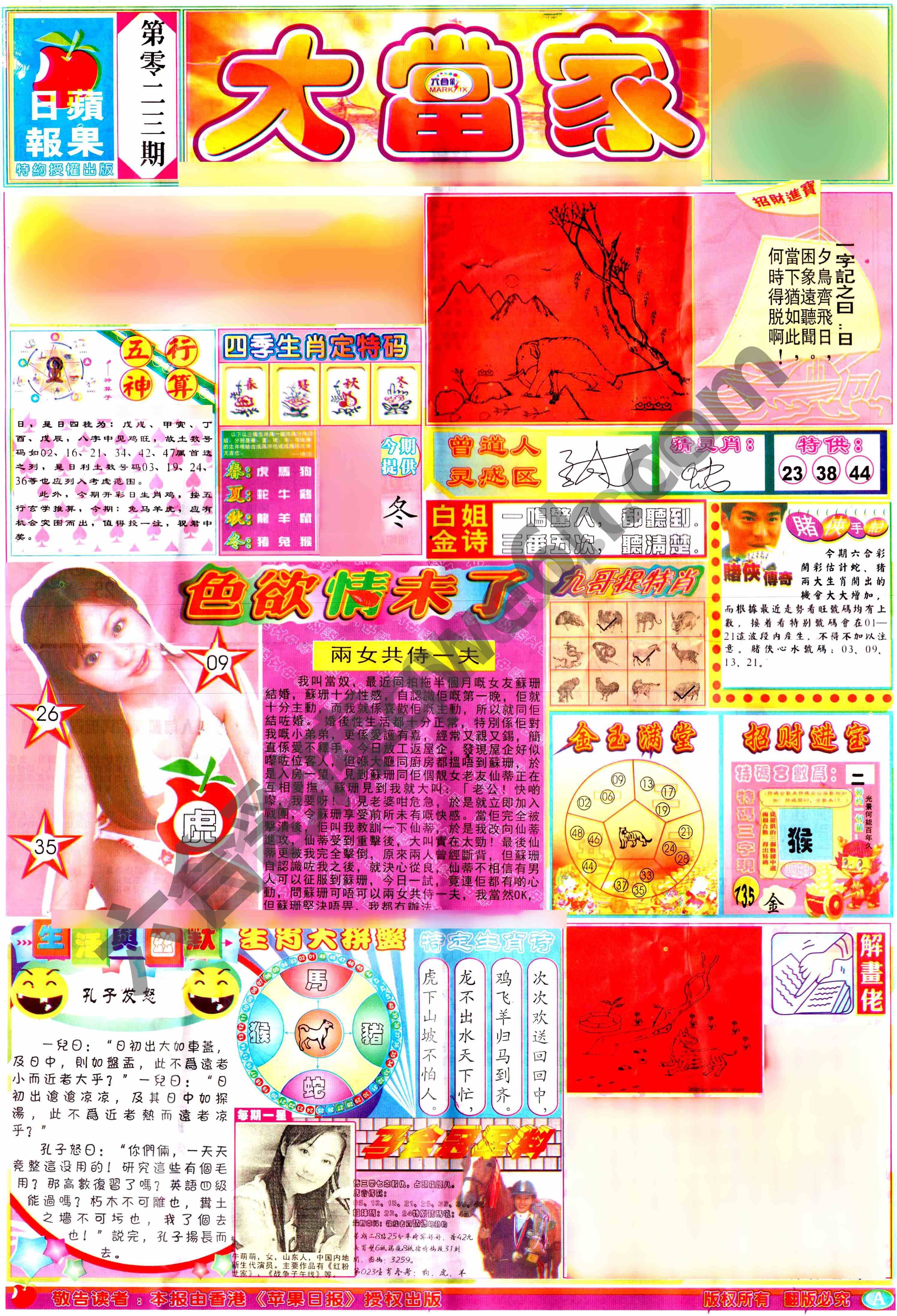 大当家