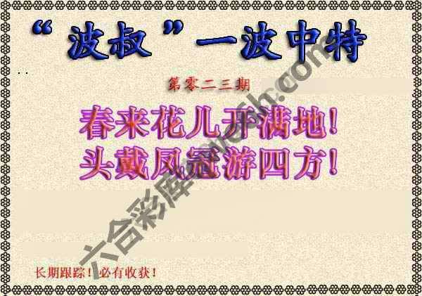 波叔一波中特