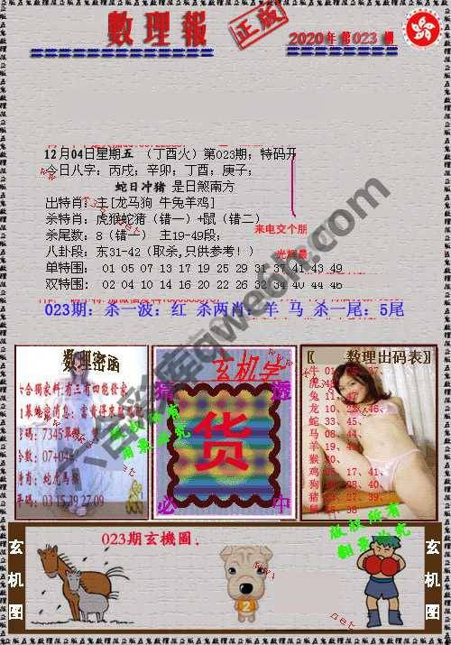 数理报