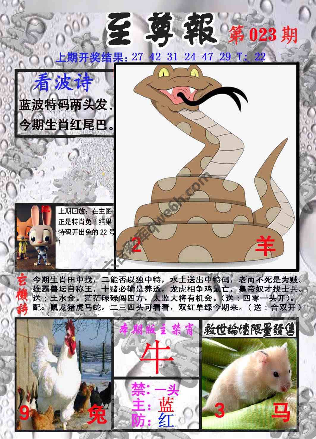 至尊报