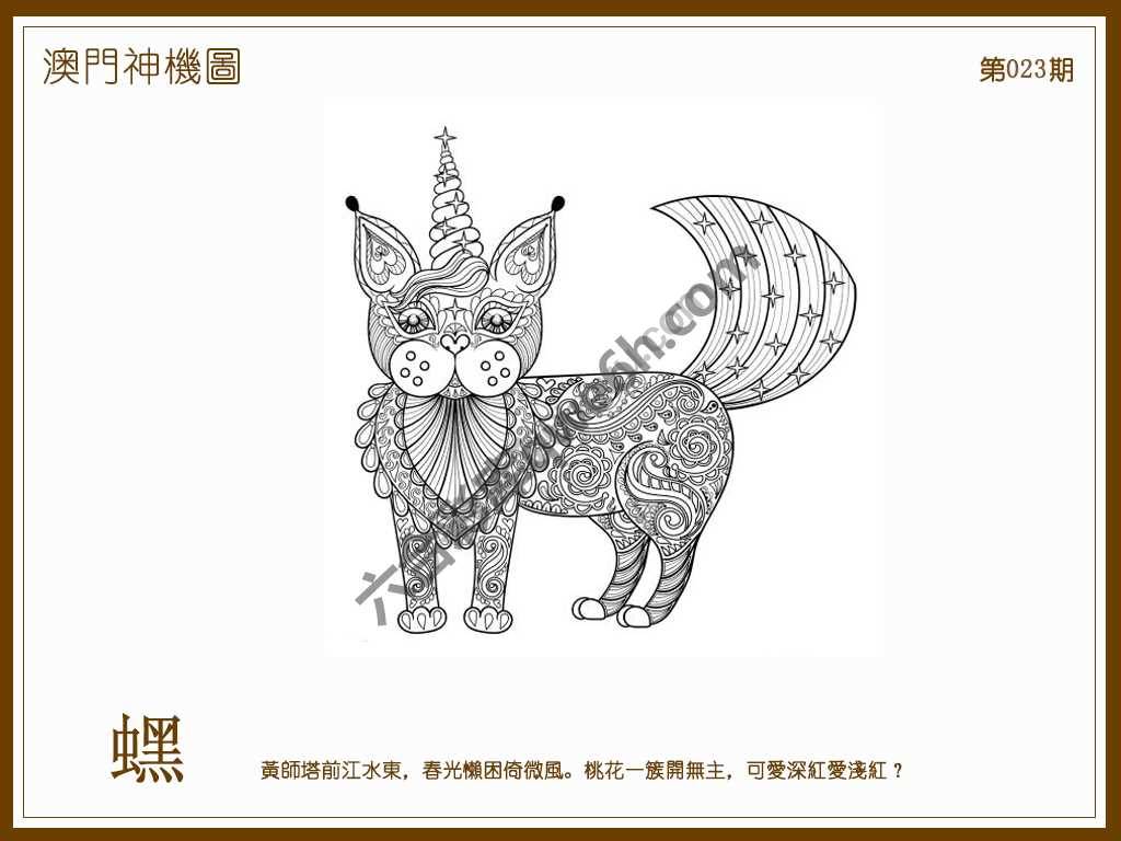 澳门神机图