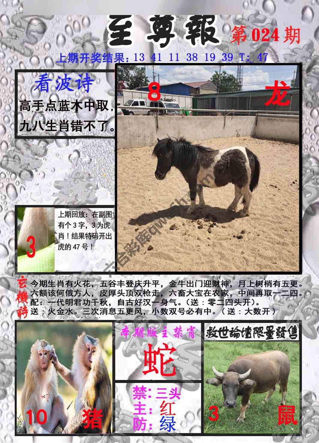 至尊报