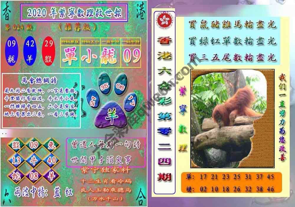 数理救世报