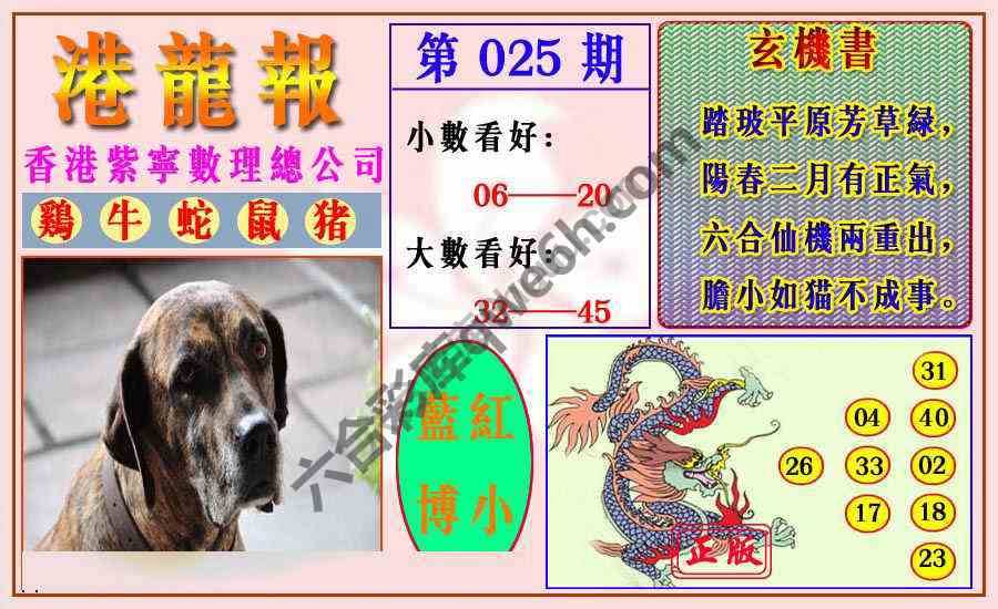 港龙报