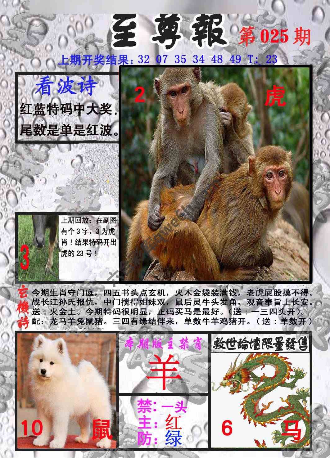 至尊报