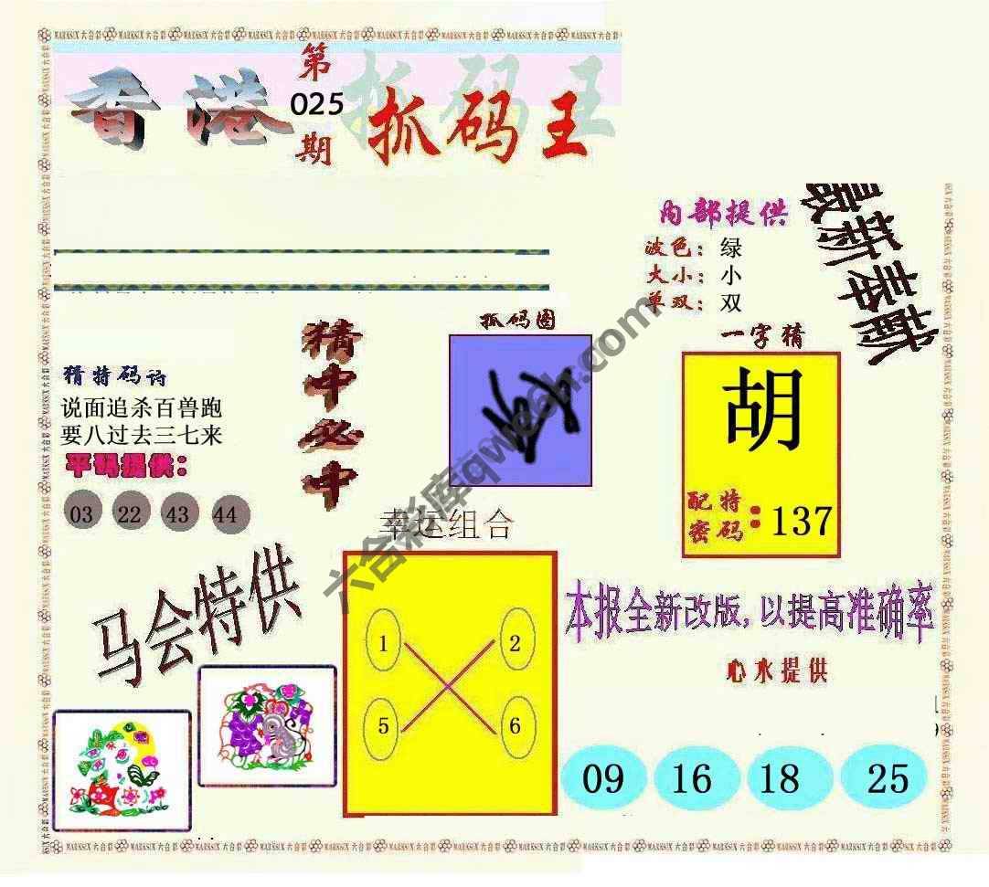 新抓码王
