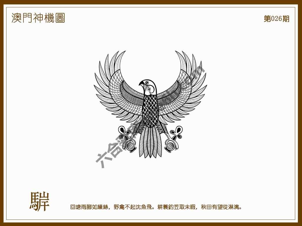 澳门神机图