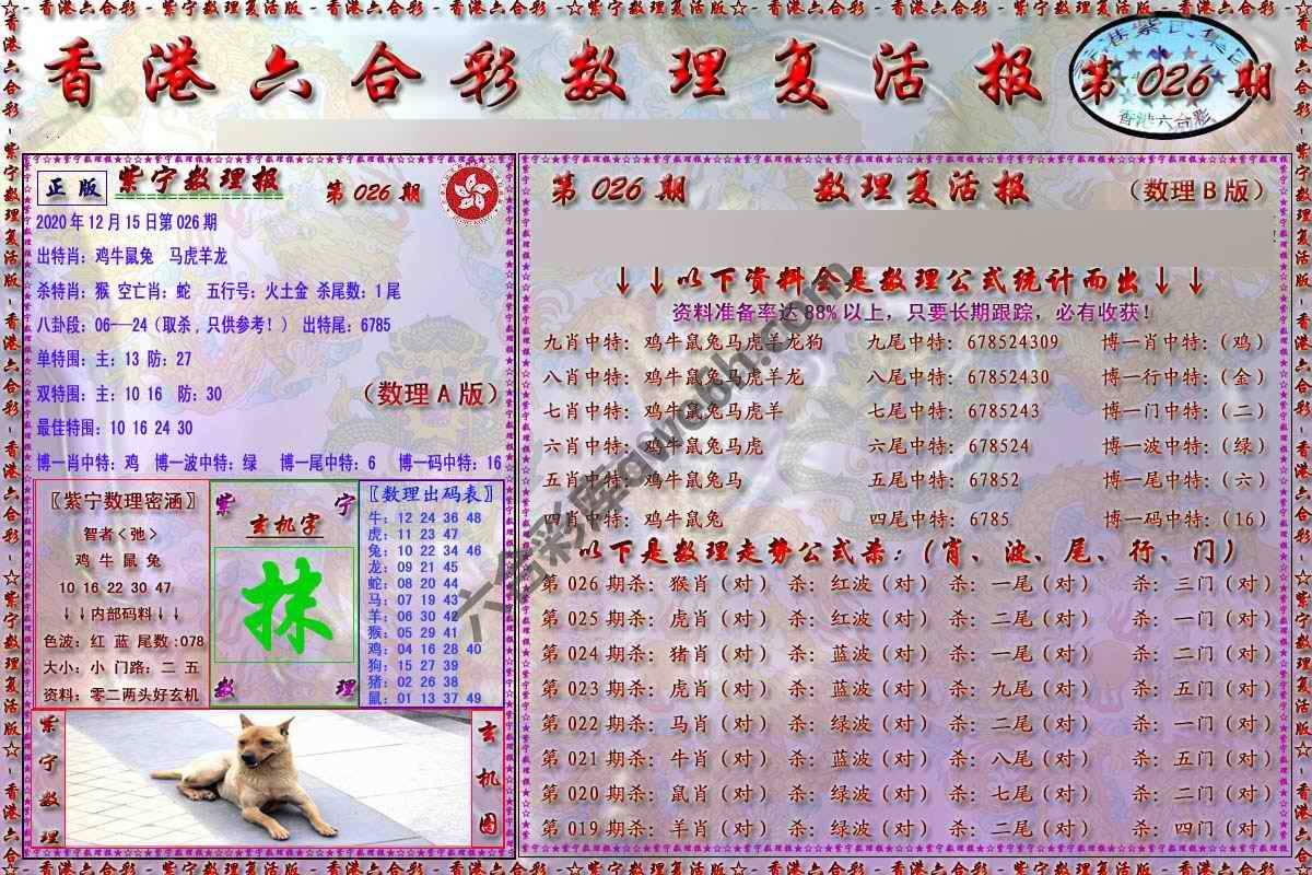 数理复活报