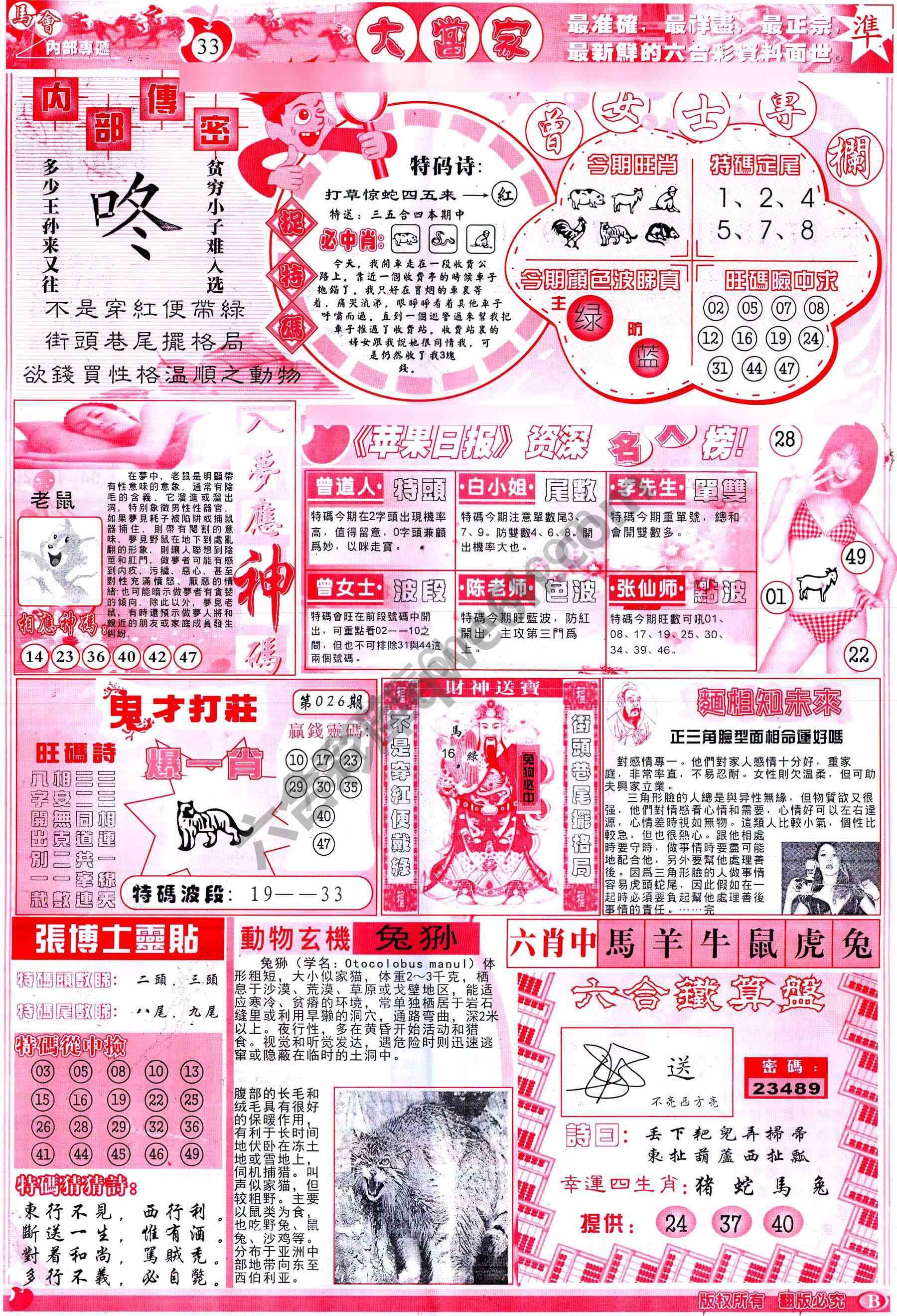 大当家