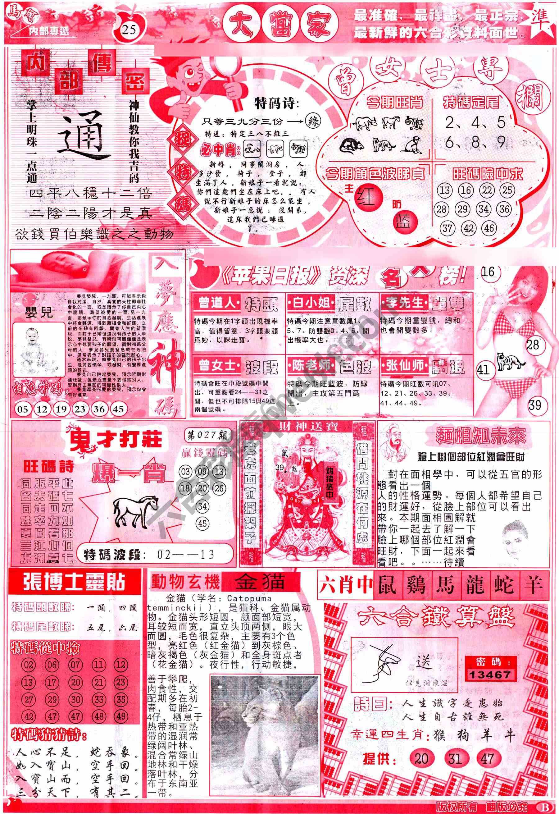 大当家
