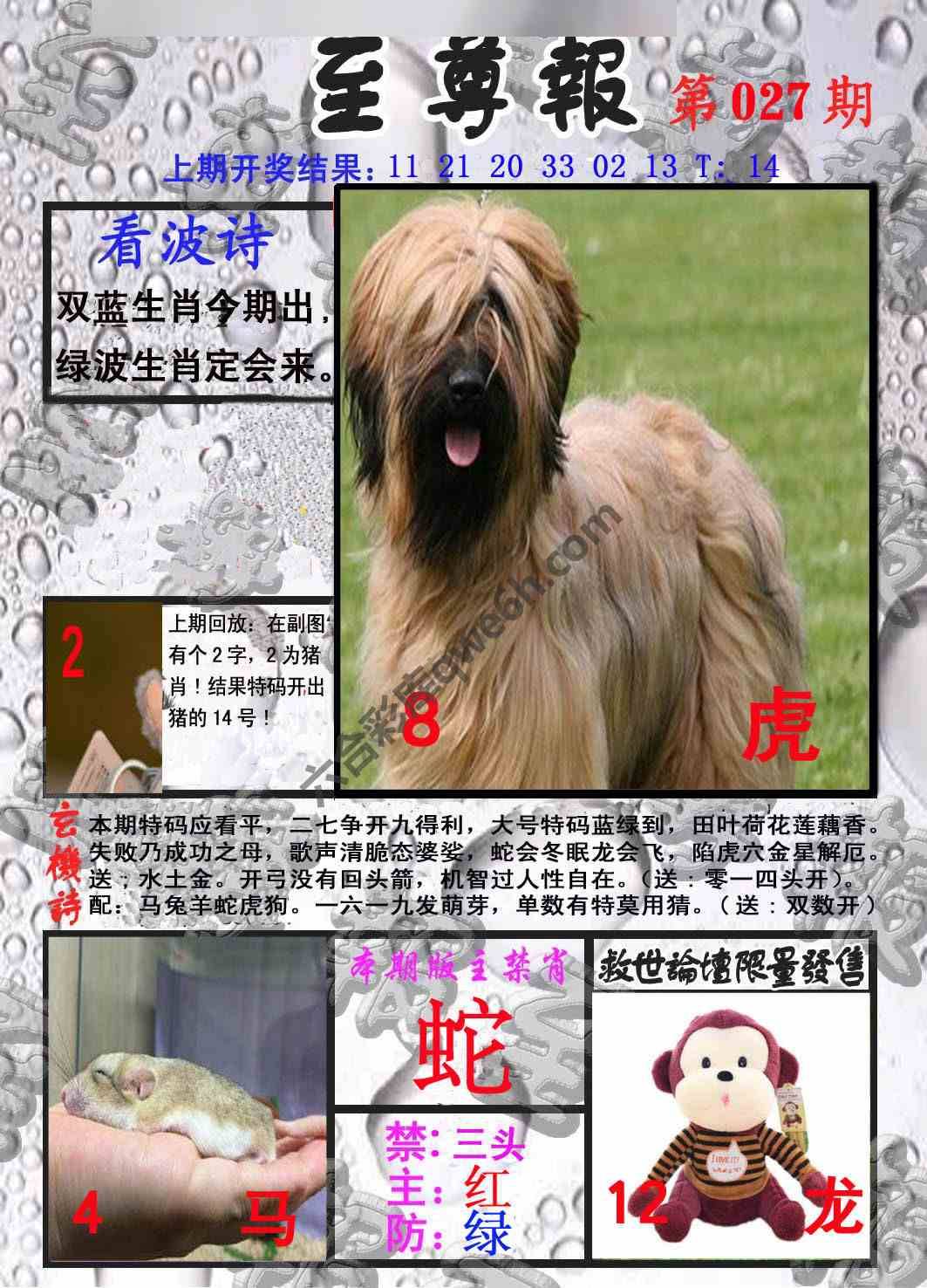 至尊报