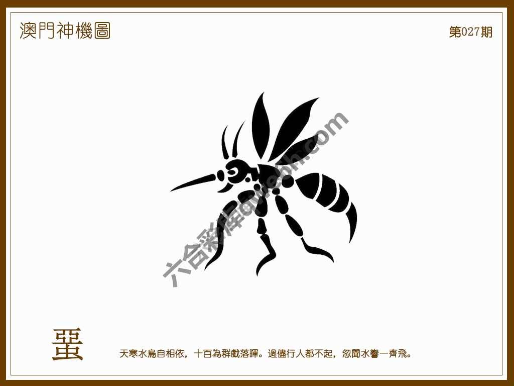 澳门神机图