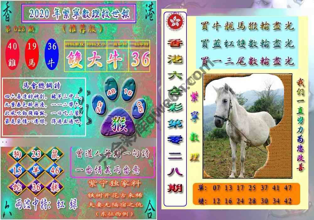数理救世报
