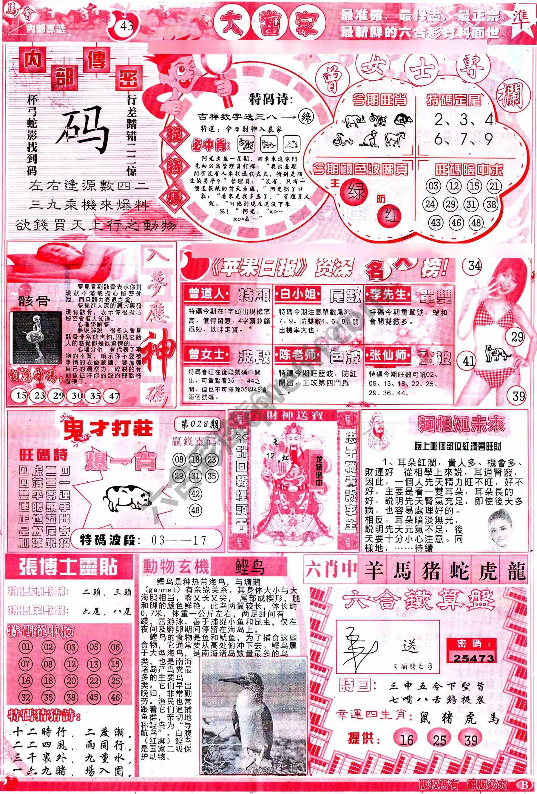 大当家