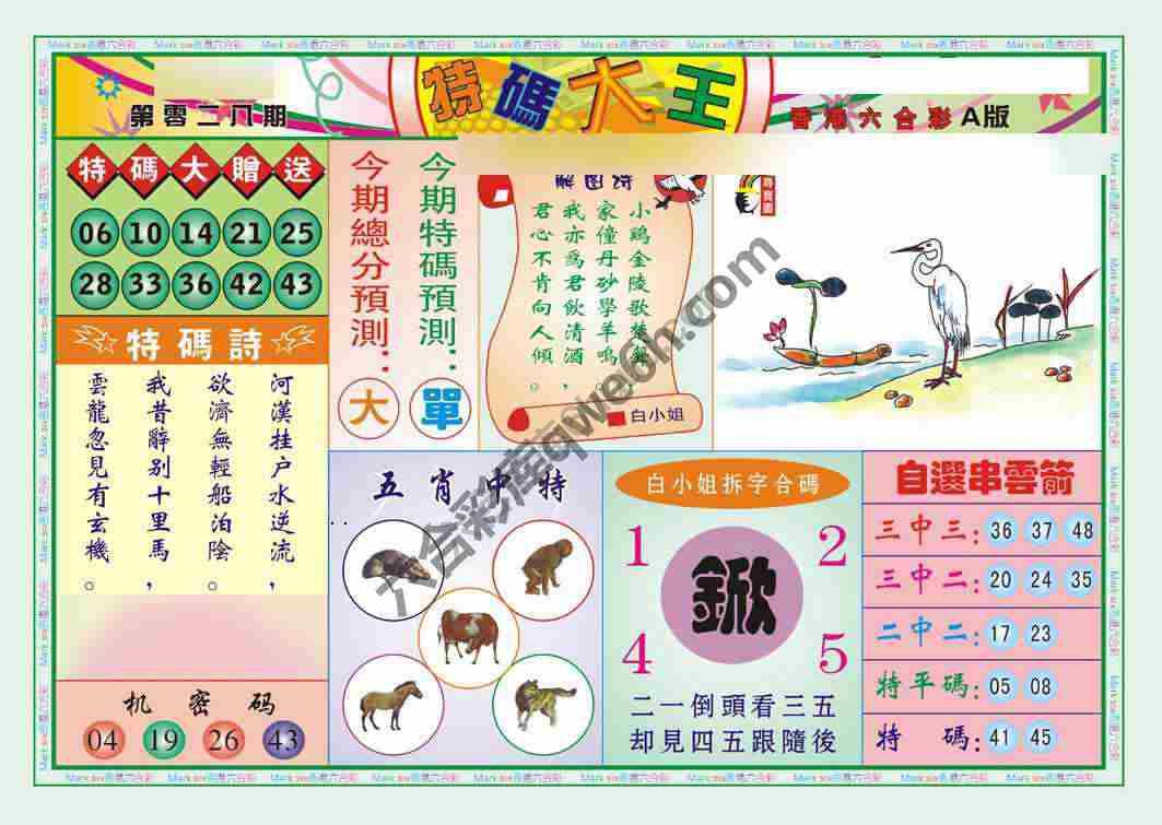 特码大王