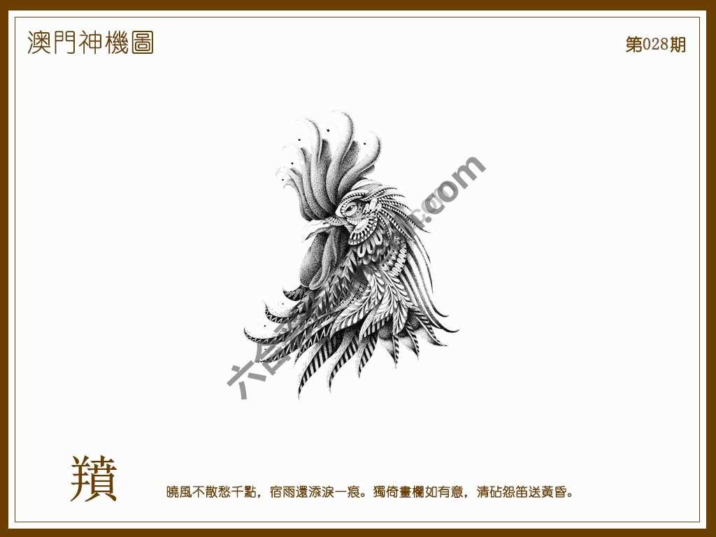澳门神机图