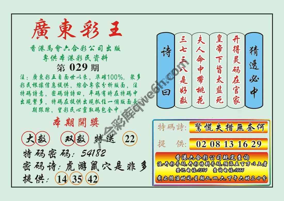 广东彩王